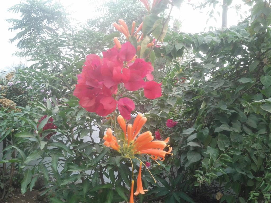 Jheelam Homestay Bhopal Exterior foto