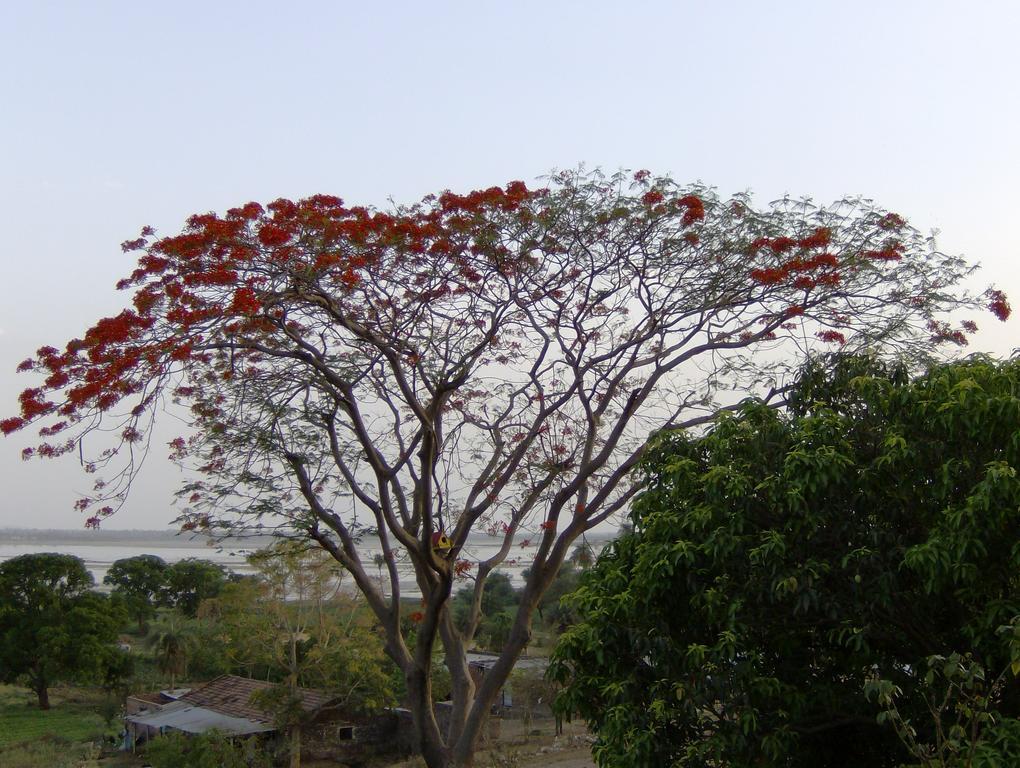 Jheelam Homestay Bhopal Exterior foto