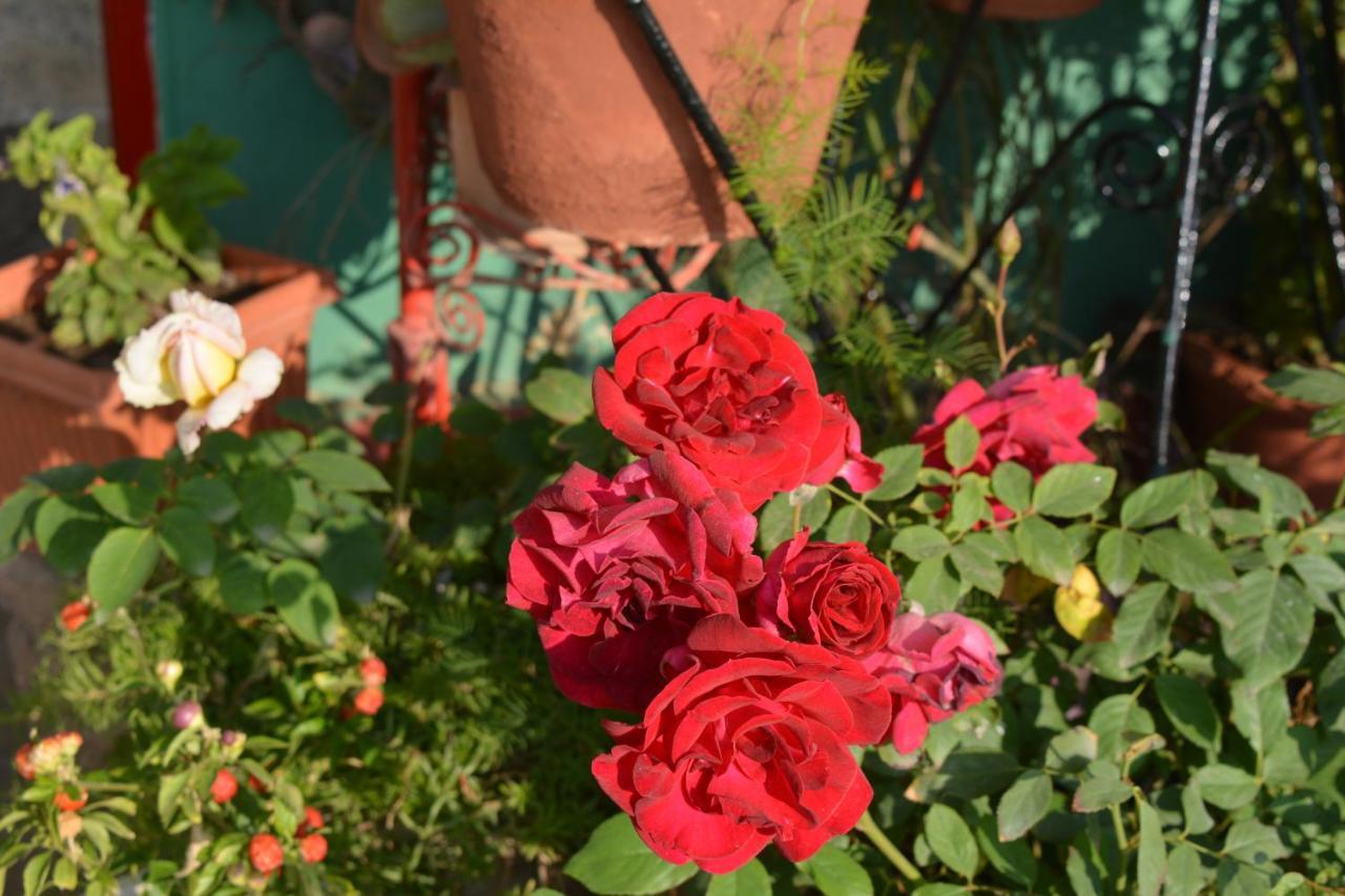 Jheelam Homestay Bhopal Exterior foto
